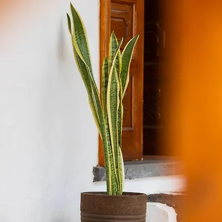 Guanapay Home, En El Centro De Teguise بيت للعطل *